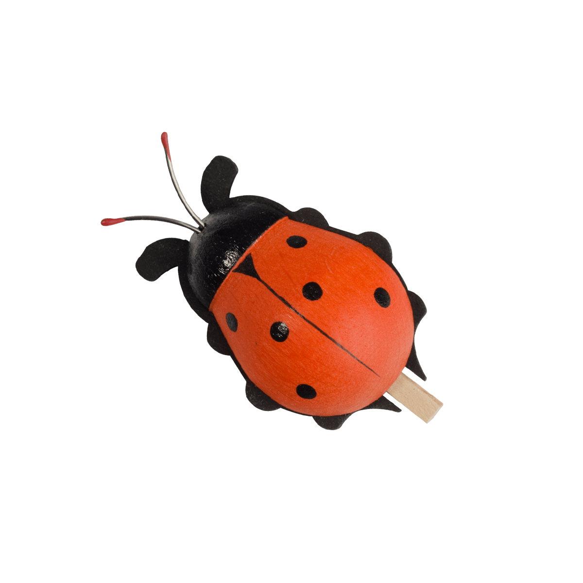 Käfer mit Klammer - orange -